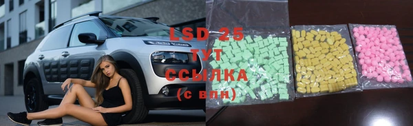 ГАЛЛЮЦИНОГЕННЫЕ ГРИБЫ Алексин